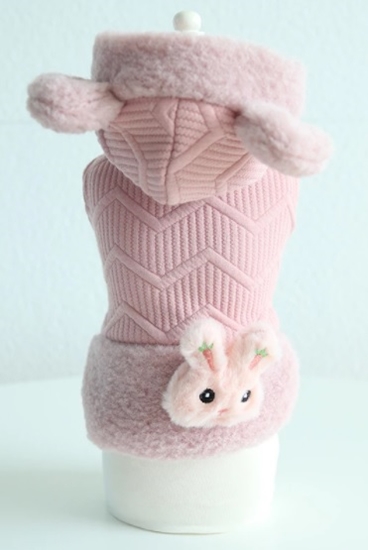 Picture of Pink Rabbit Hoodie